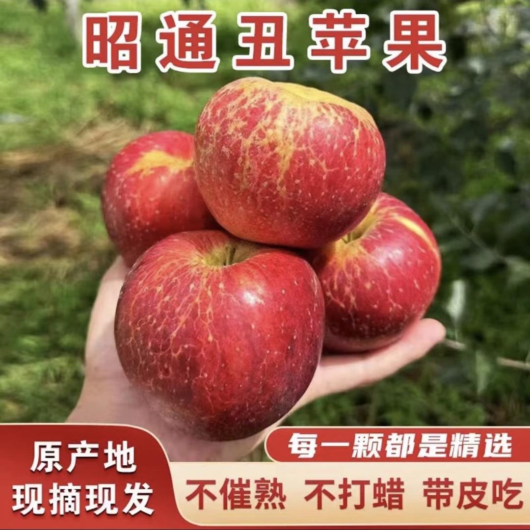 爸妈的苹果园（昭通丑苹果）