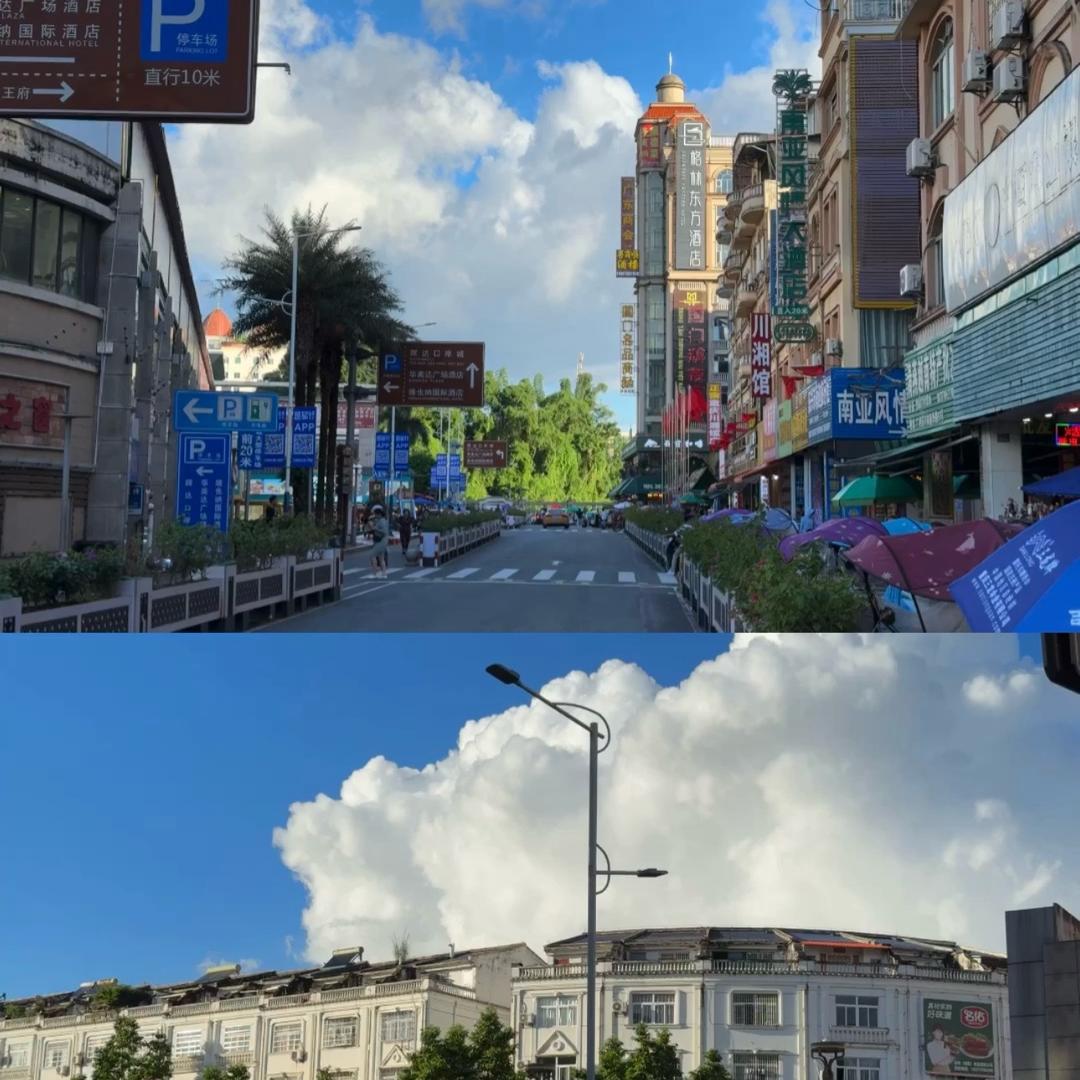 陈铺鸭仔饭陈铺直播号