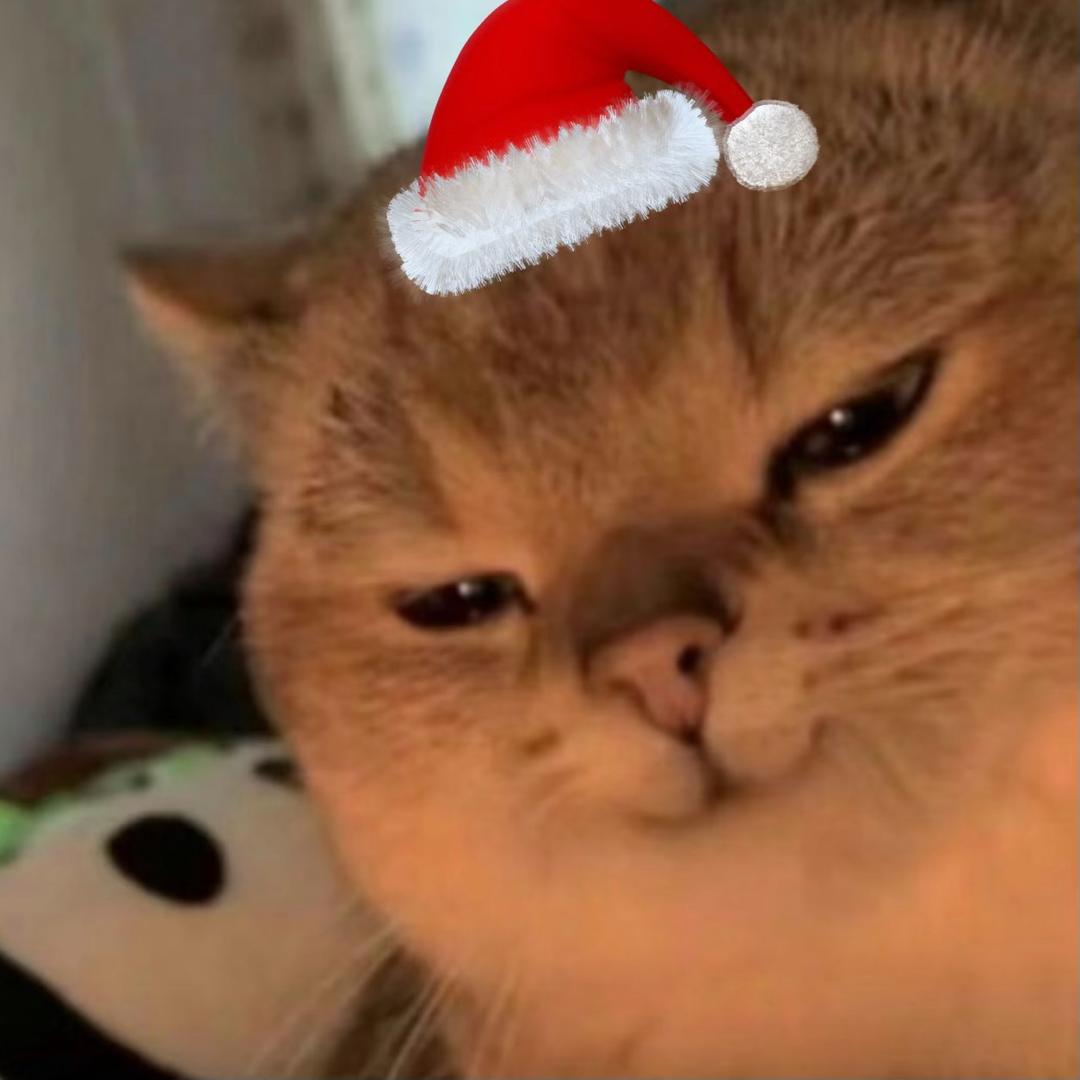 橘子睡不醒🫐⁰⁰⁷