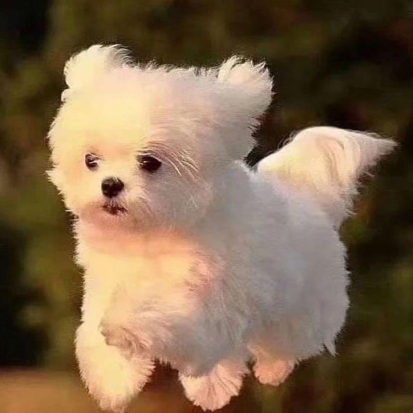 今天你喝怡宝了吗