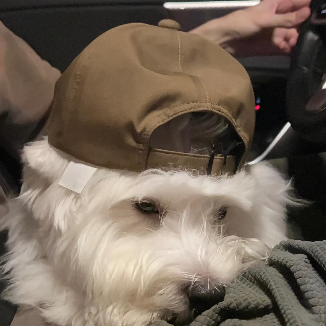 Hwbin
