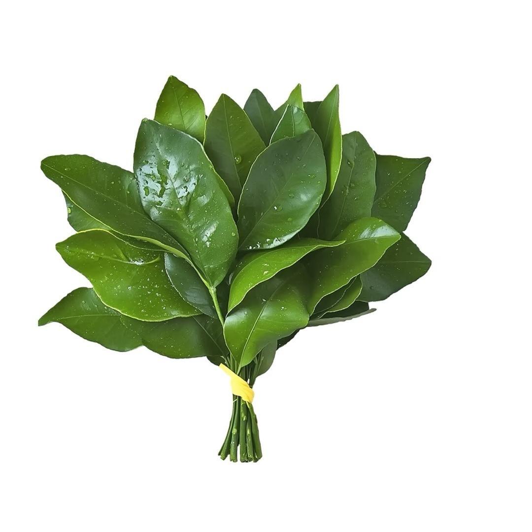 阿月