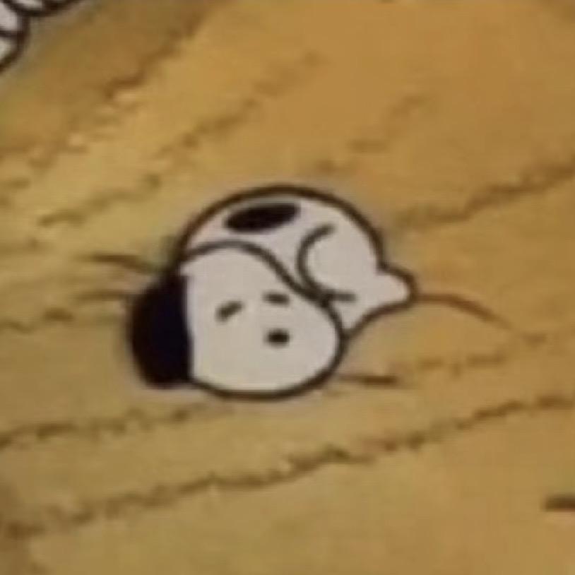 没有是蛛_