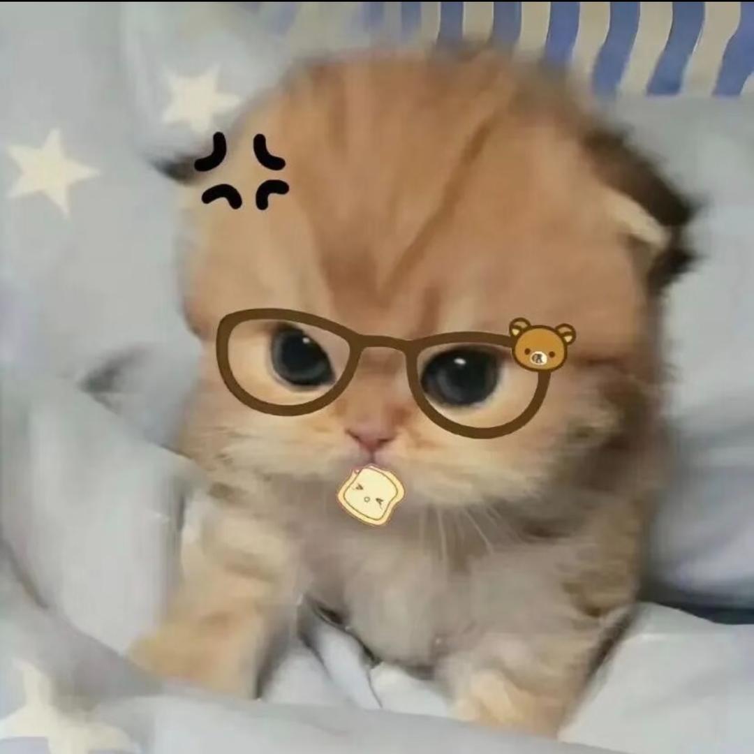最帅的卤蛋