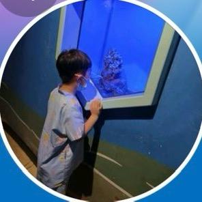 幸福程的崽崽