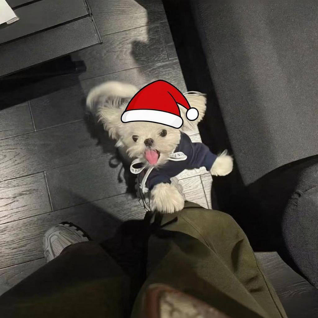 Cuu