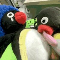蜜汁鱼排头像