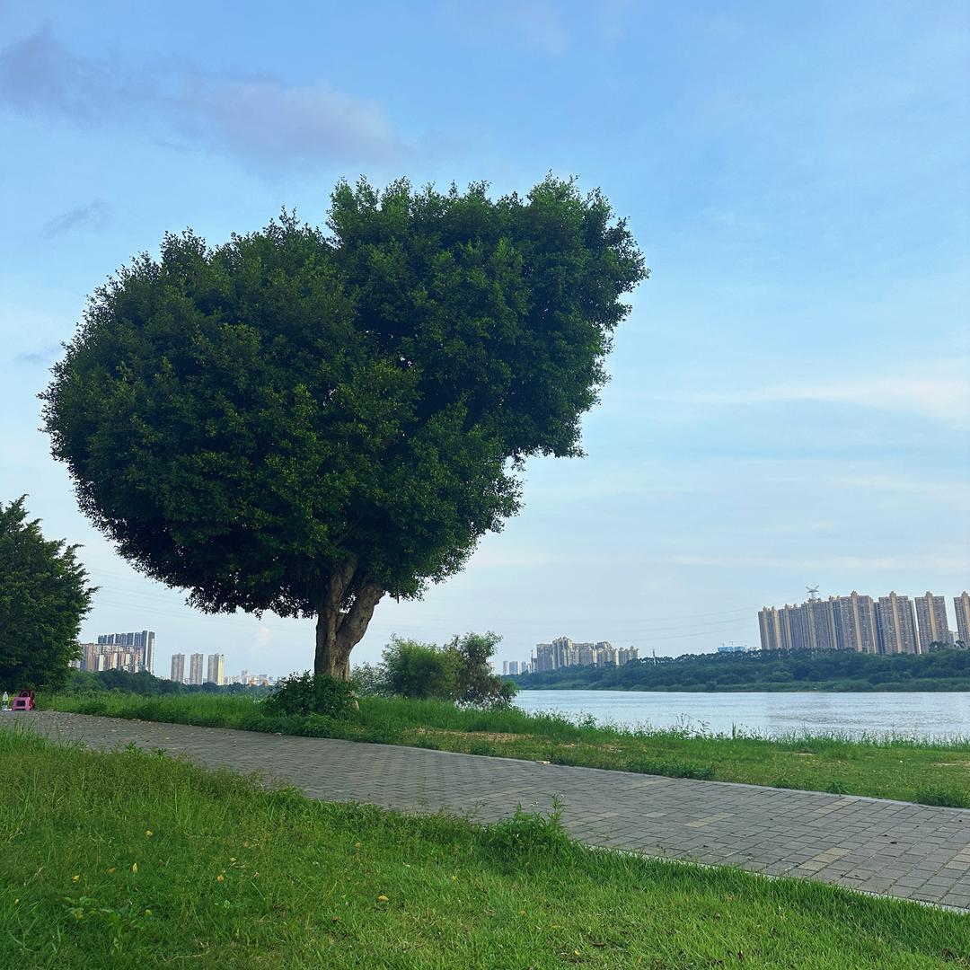 遇上即是上上签