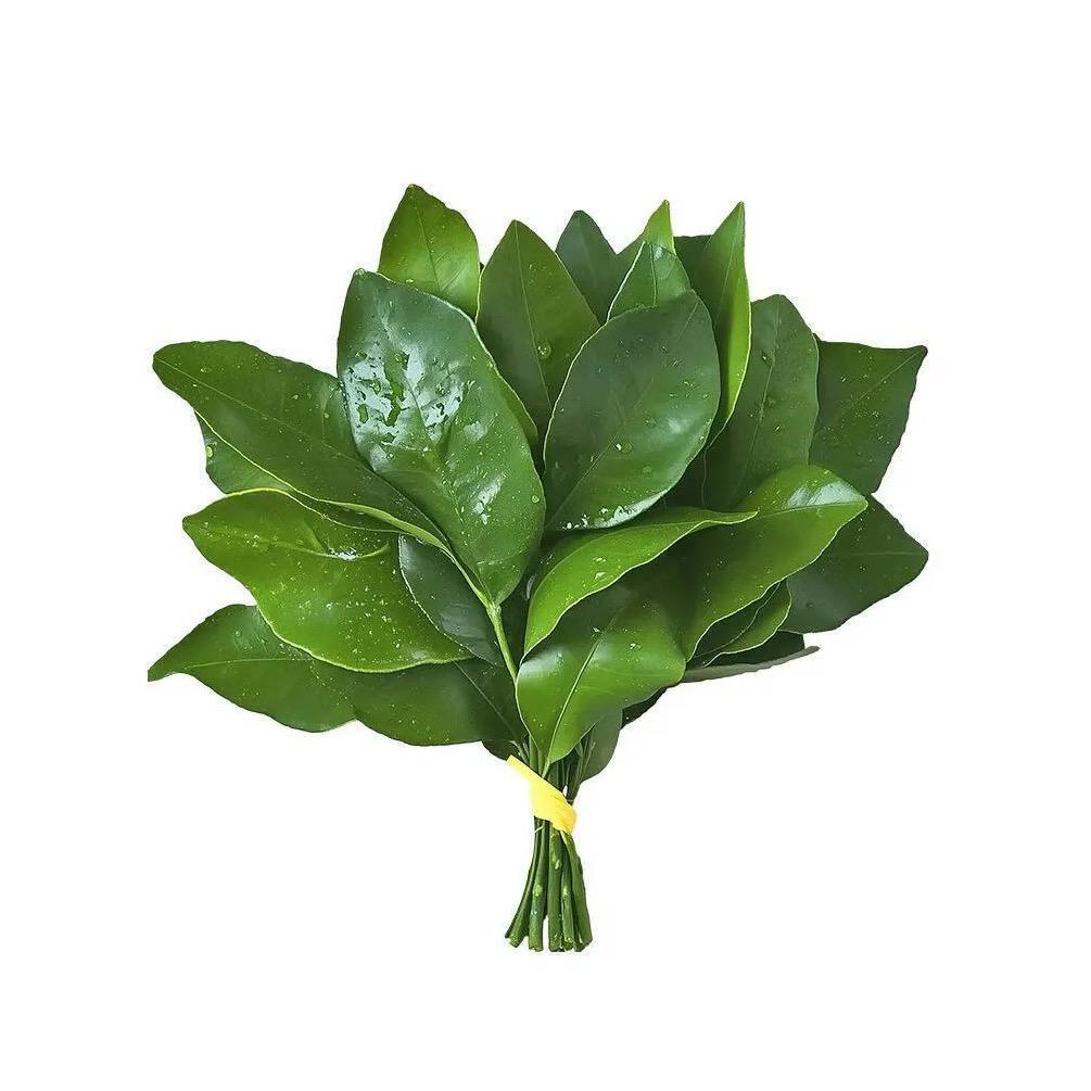 X-
