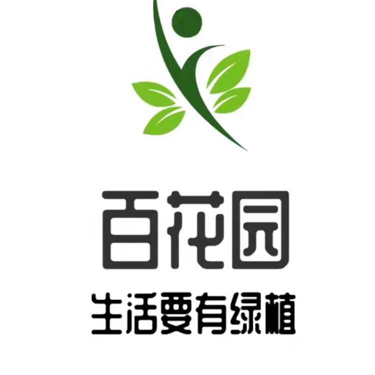 百花园（品种杜鹃花）