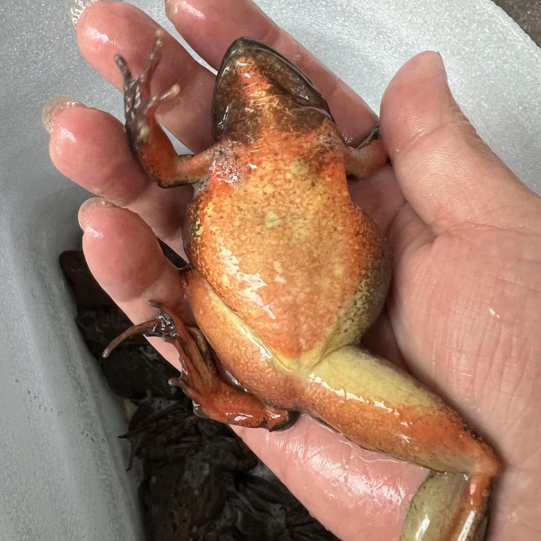 南芬区大月农林产品经营部