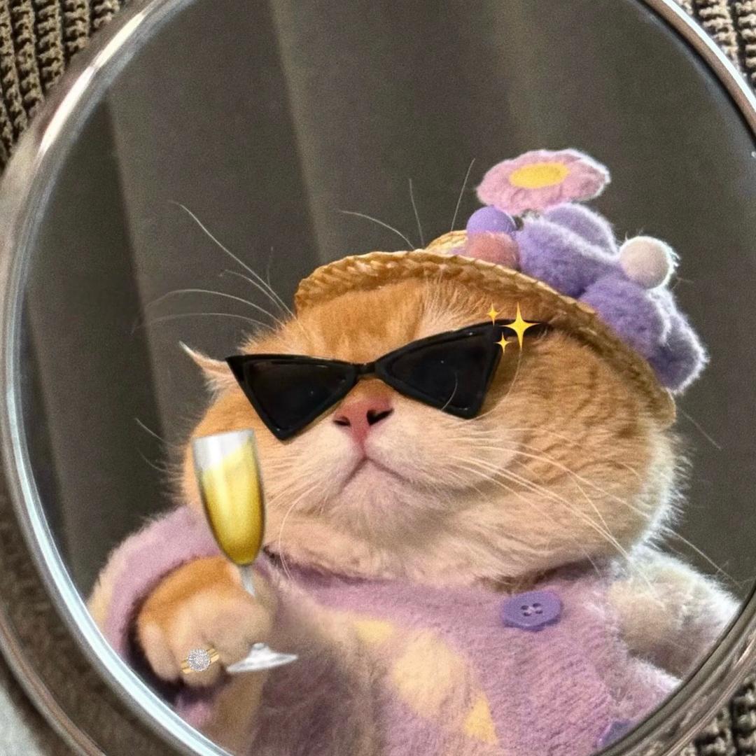 悲伤小熊猫