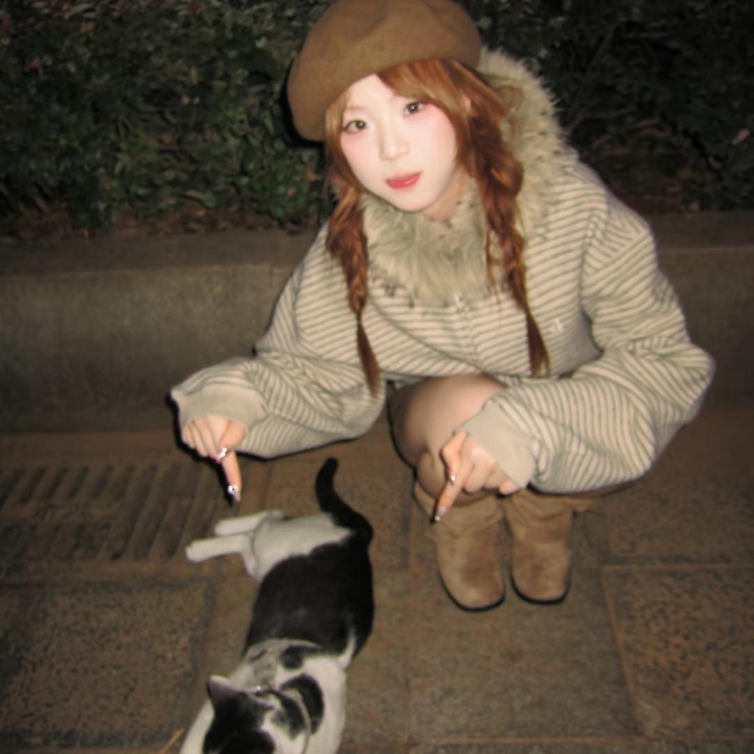 我是脆弱敏感小女生别杀我