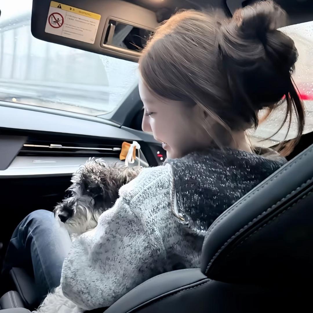 ㅤㅤㅤㅤㅤㅤㅤㅤㅤ‍‍‍‍猫猫