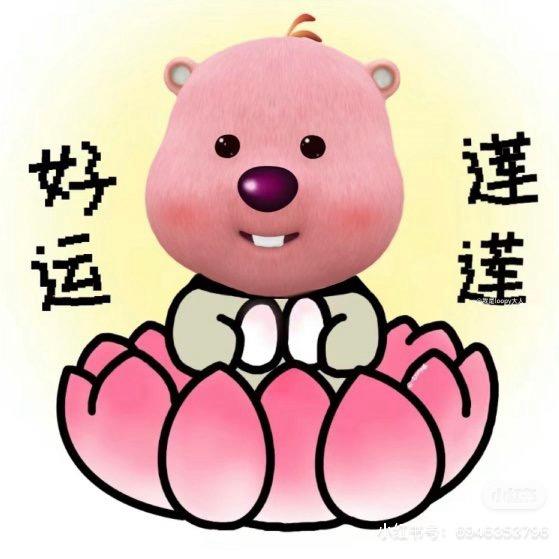 ꪔ͈̮   ꪔ̤̫