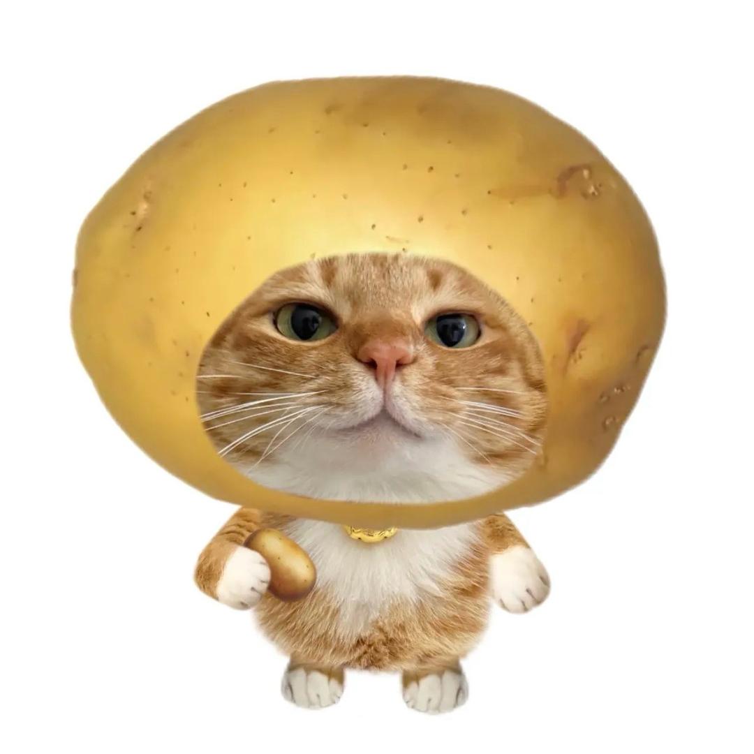 当然最喜欢吃potato啦