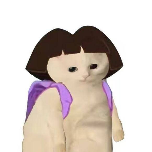 迪迪迪