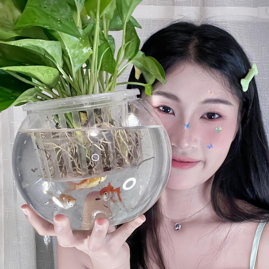 陈陈吖.