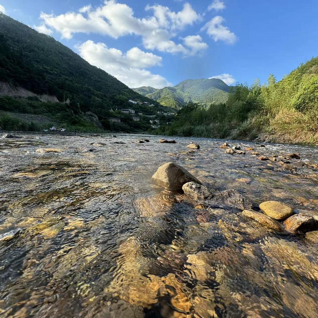 威廉胡（野钓版）