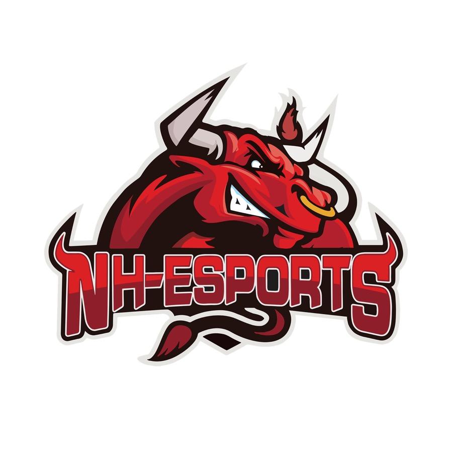 NH电子竞技俱乐部