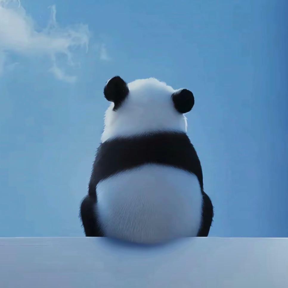 十年
