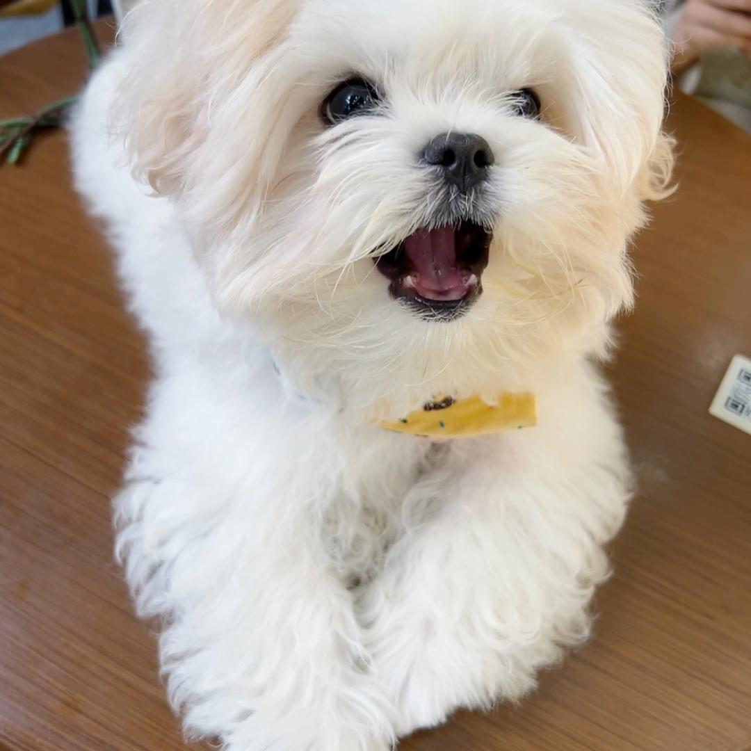 包你OK