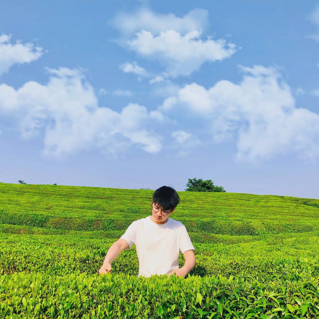 小潘茶叶严选