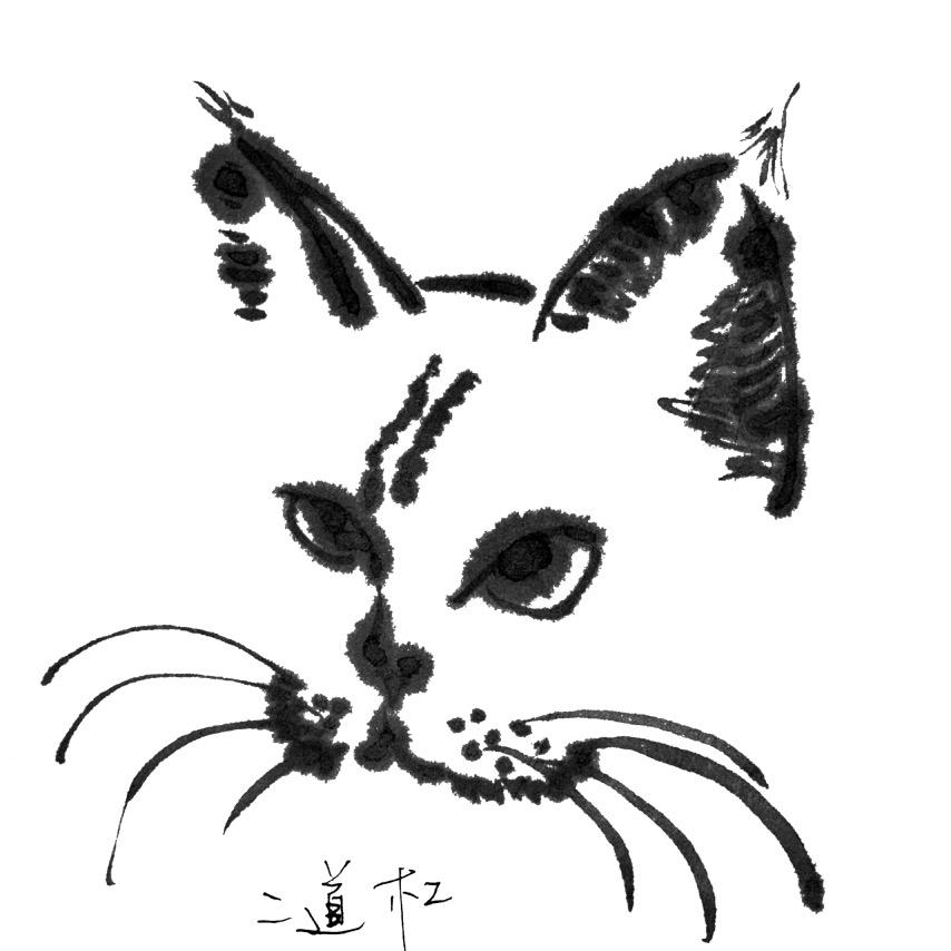 玊尔