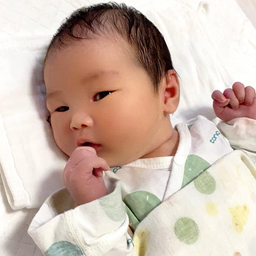 小乐宝