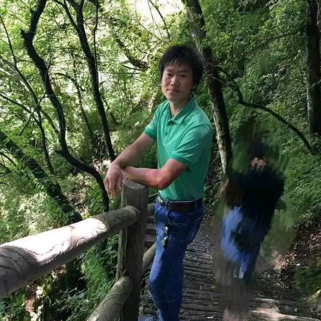 狂野的风