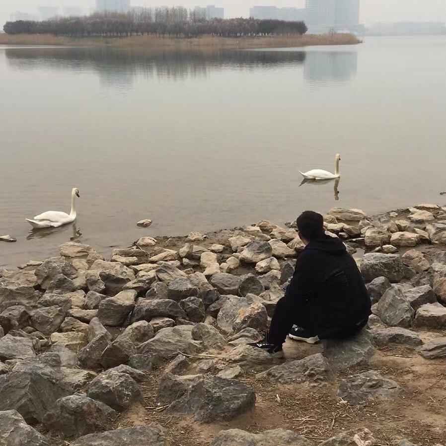 梯梯爸