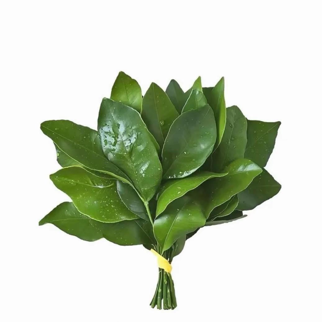 ヾ维也纳忧伤╮