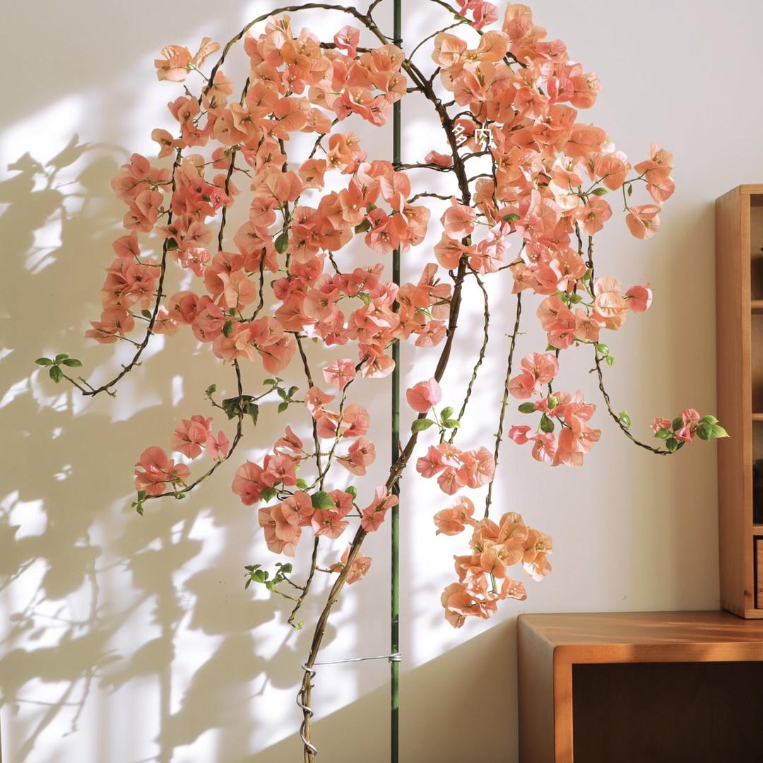 柳美园艺三角梅