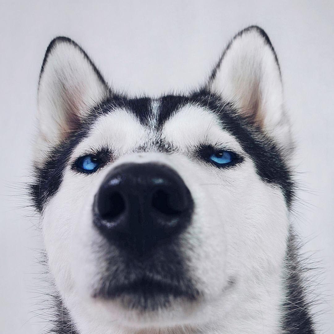 嘿嘿嘿嘿嘿