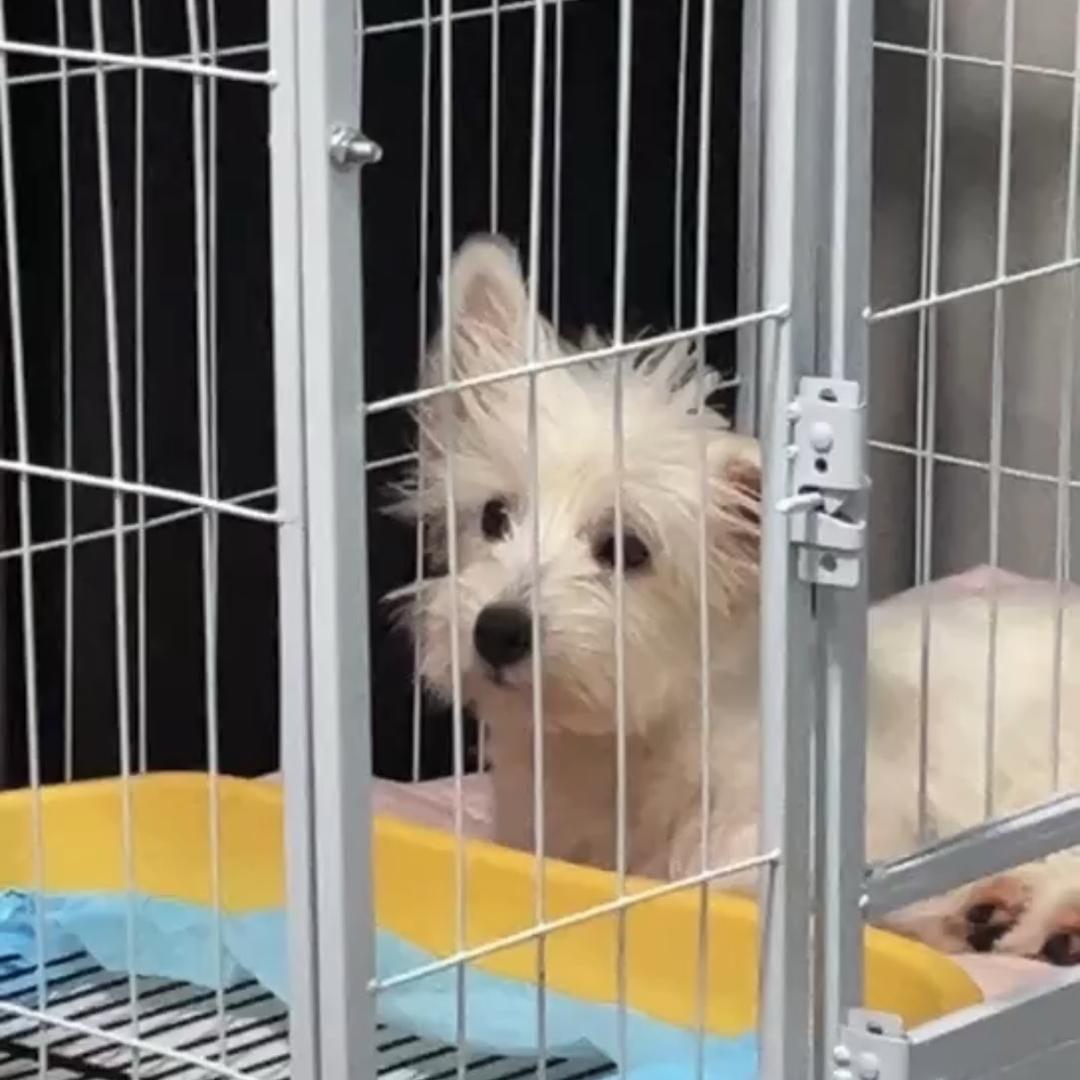 举起手来