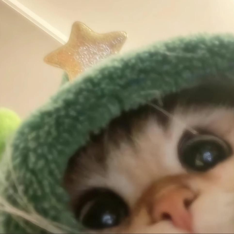 暖暖的好物推荐