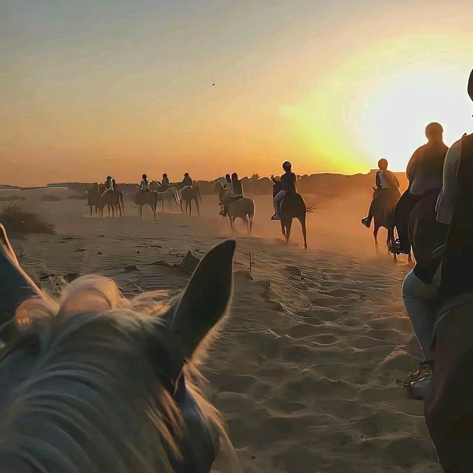 佛祖身边一盏灯