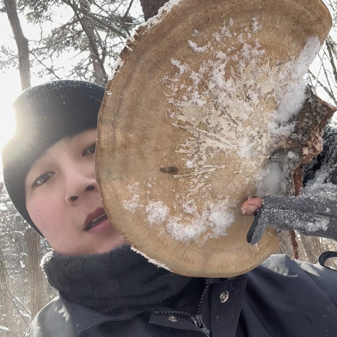 长白林海.