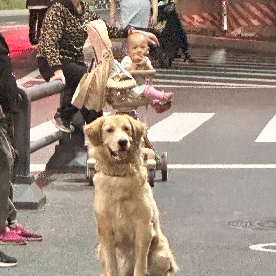 飞船失事