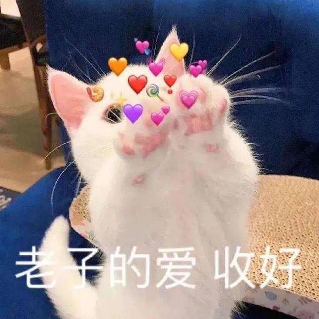 贺顶红S.H