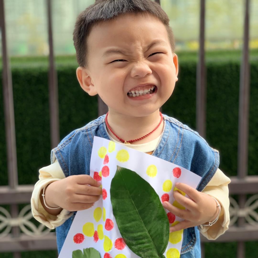 石头麻麻