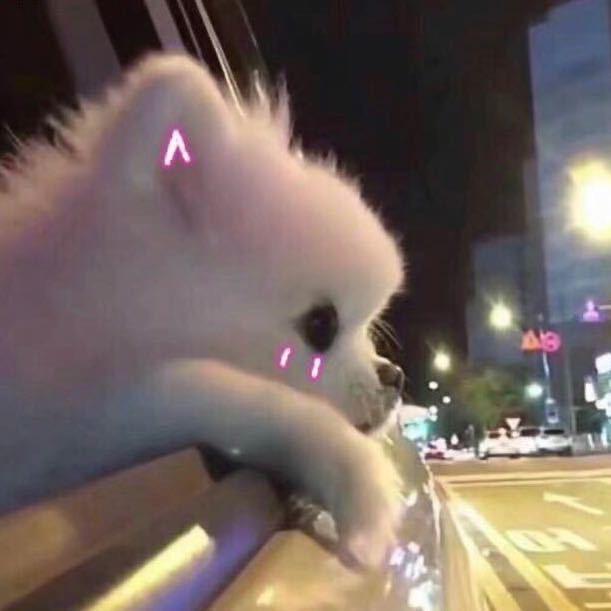 宇宙帝王小卓宝