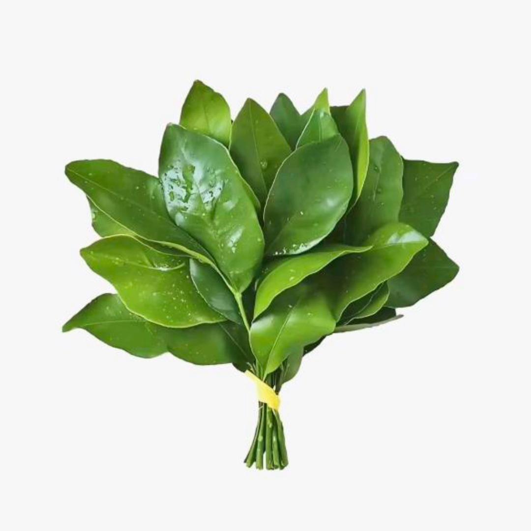 赐我把斩萌刀