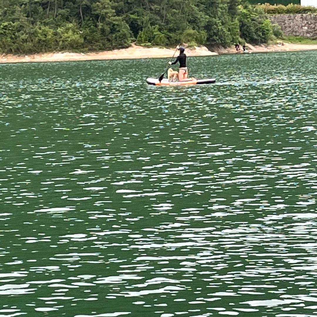 沉梦