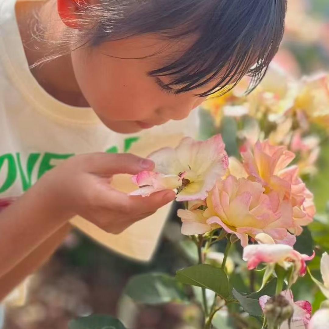 @半盏茶光