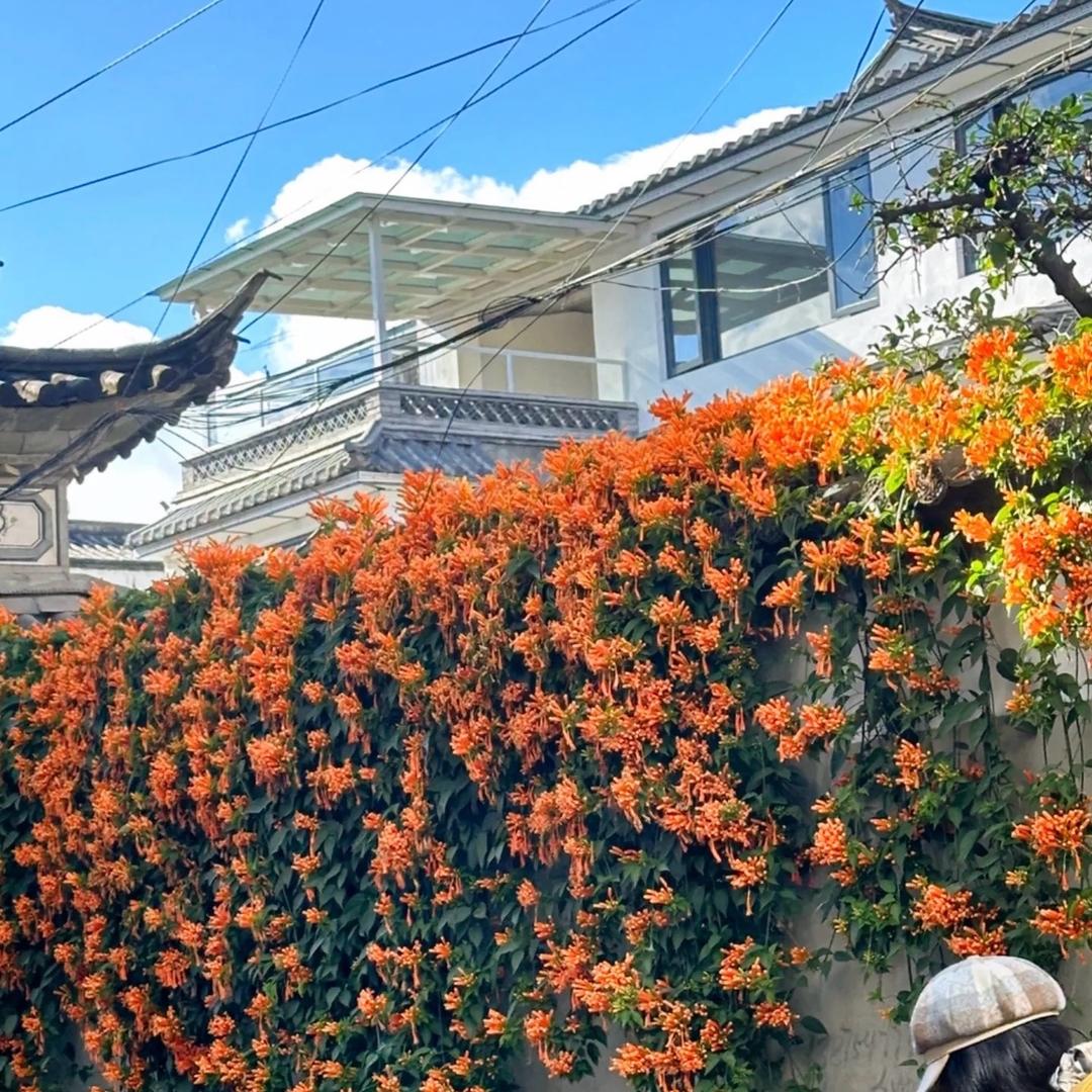 松间月酌