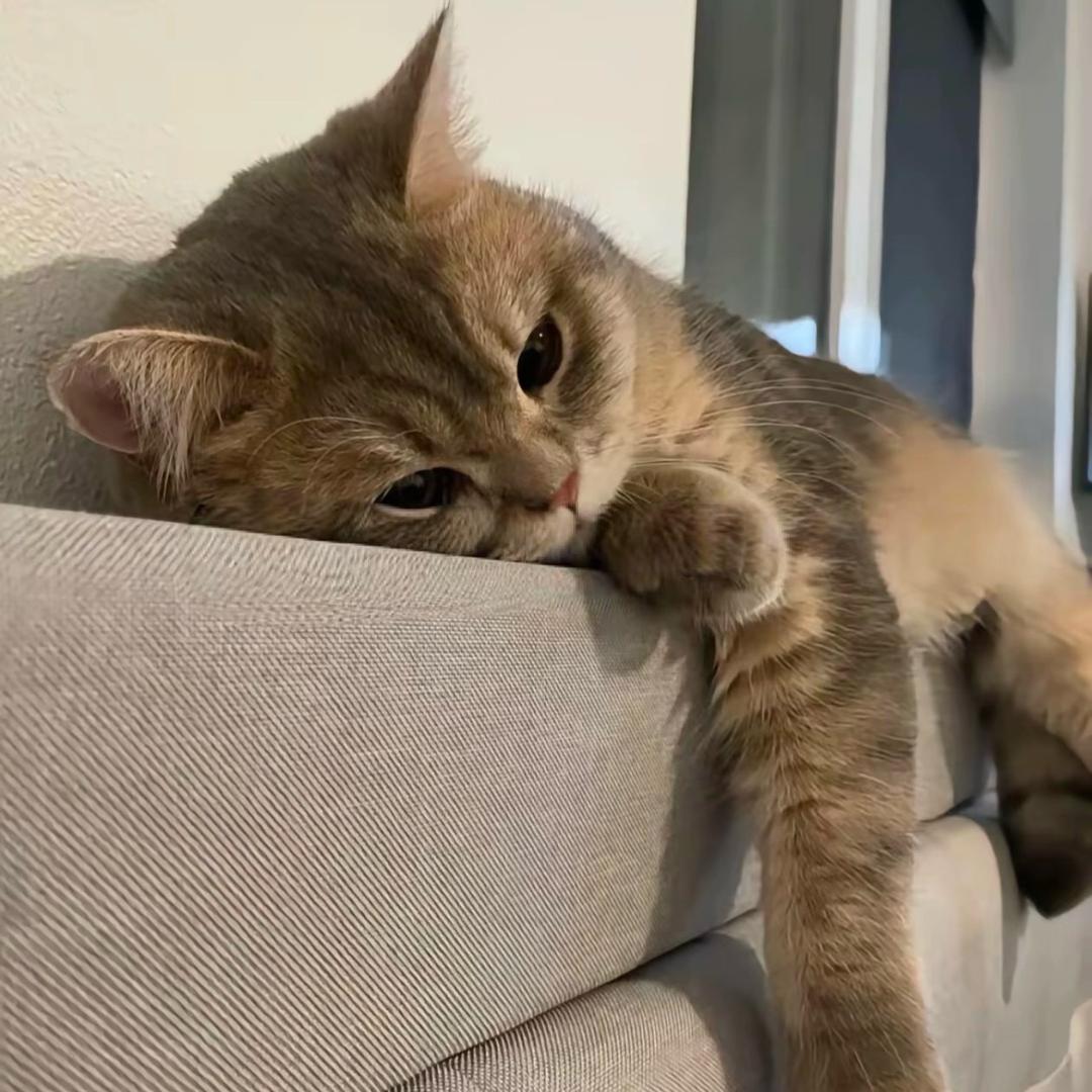 Lonely