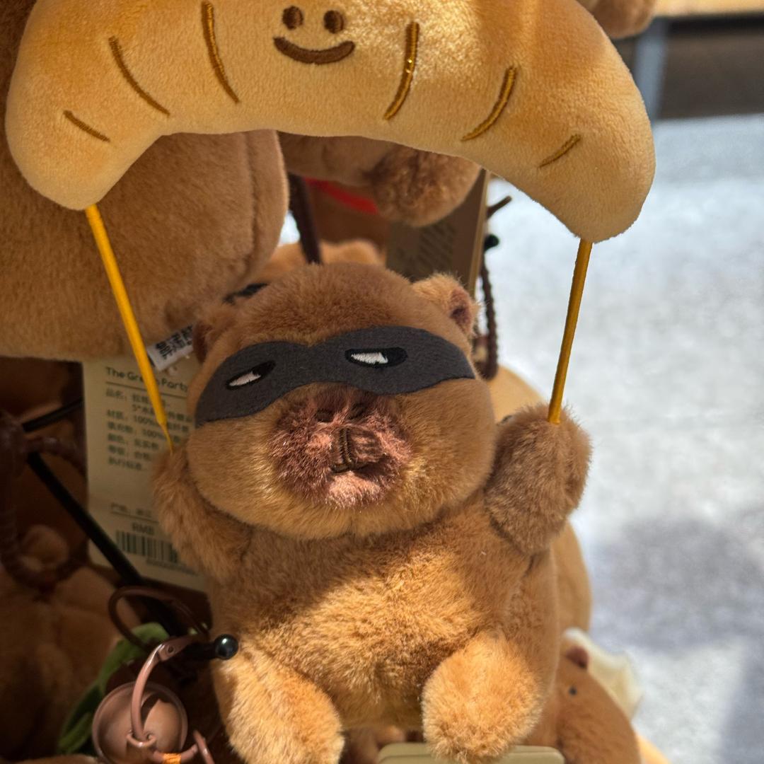 ʕ •ᴥ•ʔ