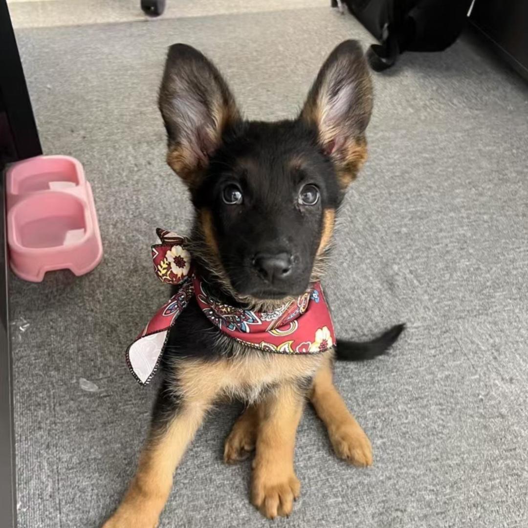 不浪烧烤官方号