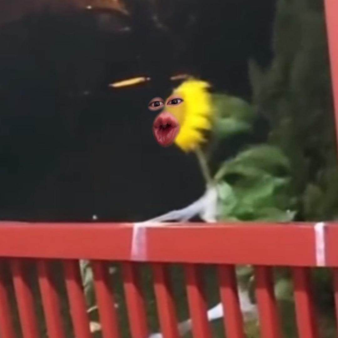 王铁柱
